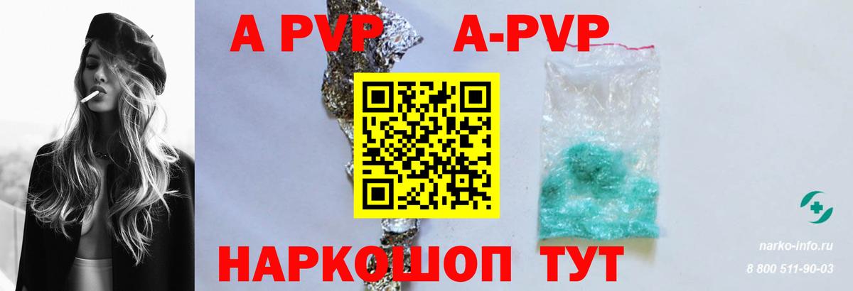 A PVP СК Новошахтинск