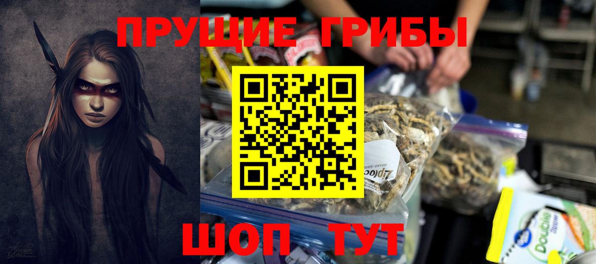 Новошахтинск  Псилоцибиновые грибы Magic Shrooms  где продают наркотики  Вход с VPN 
